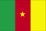 Kamerun - flaga